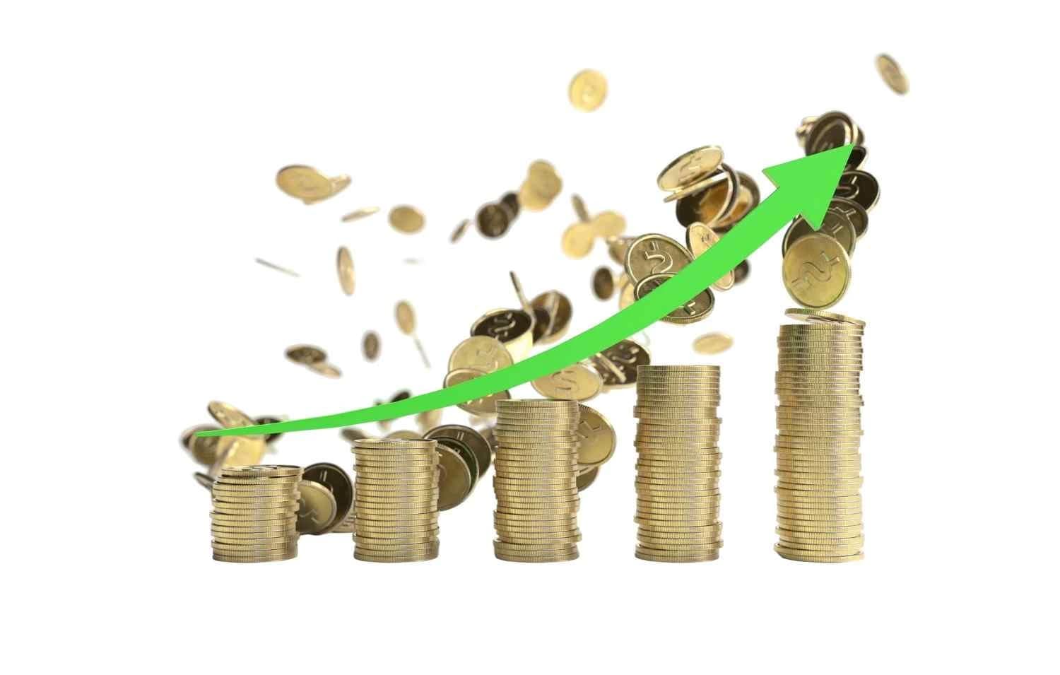 Restaurant Franchise Investment