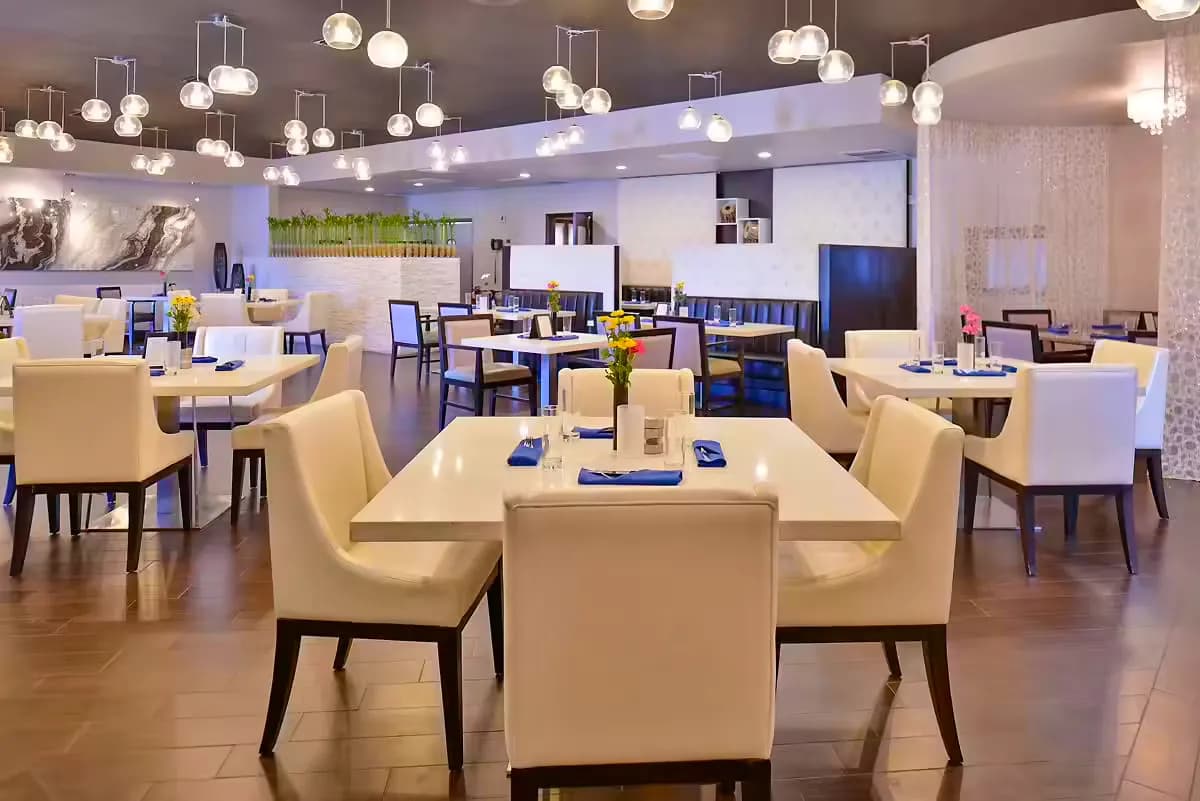 Dining area with elegant setup