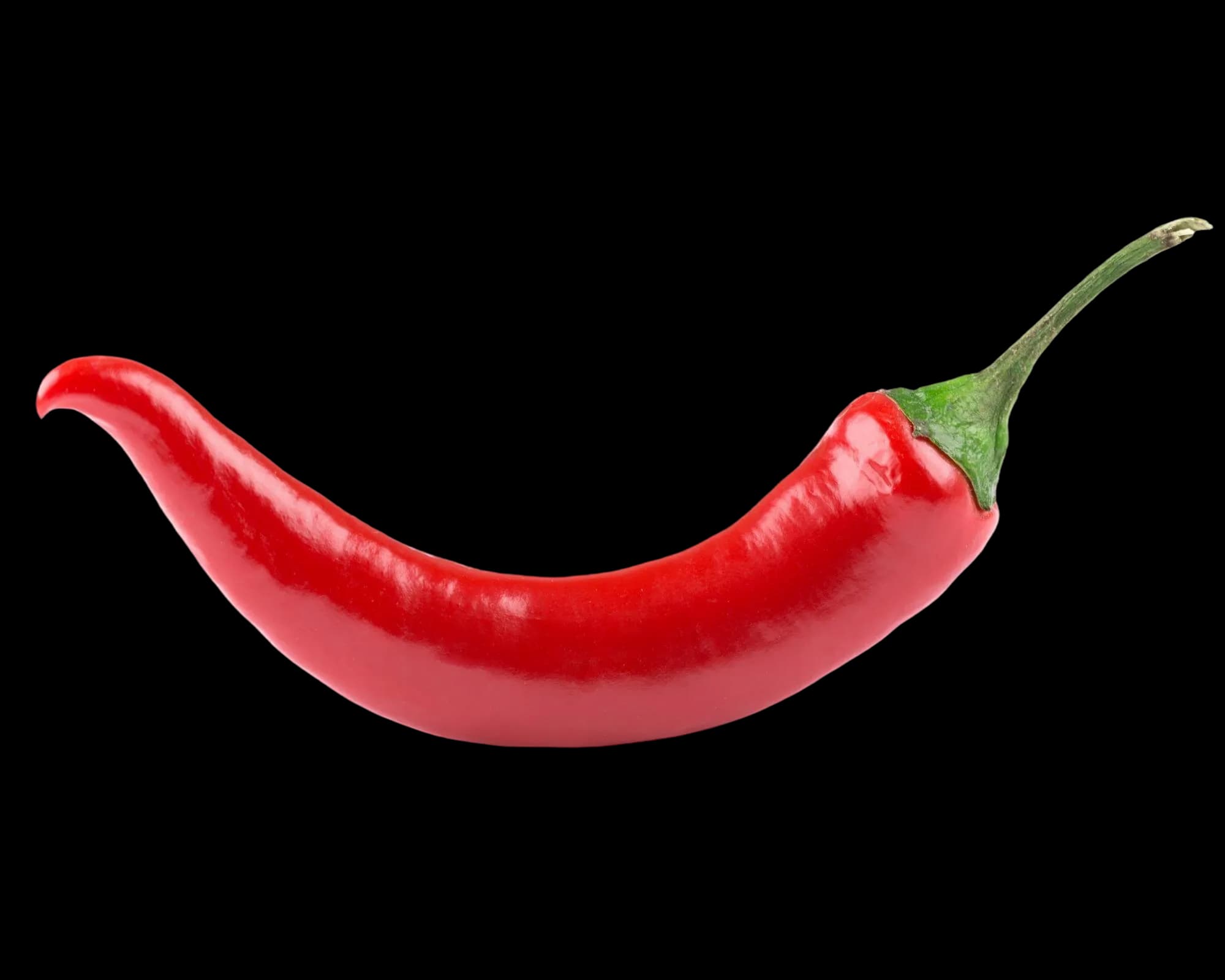Chili pepper